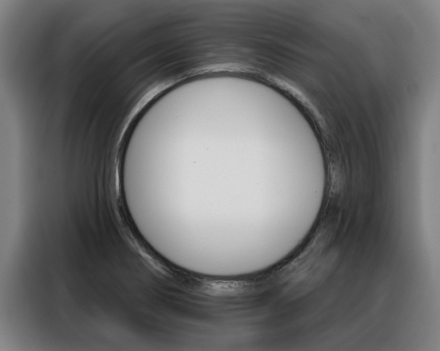 X0000088391274200705220754