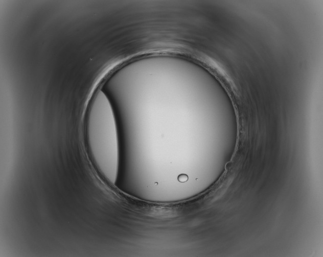 X0000088391275200705220754