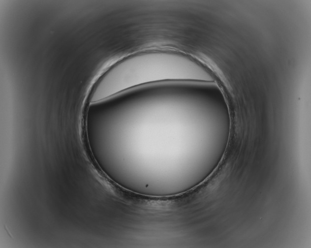 X0000088391277200705220754