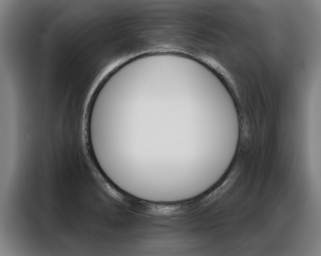 X0000088391278200705220754