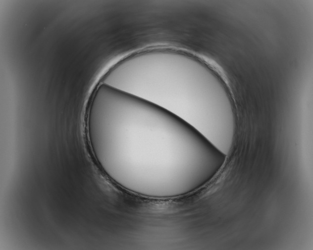 X0000088391279200705220754