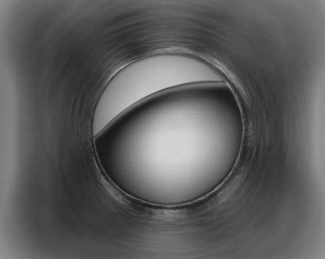 X0000088391281200705220753