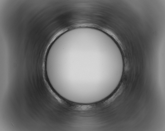 X0000088391282200705220753