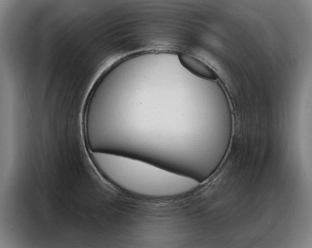 X0000088391283200705220753