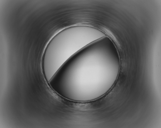 X0000088391284200705220753