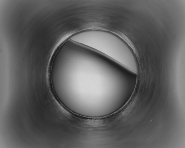 X0000088391285200705220753