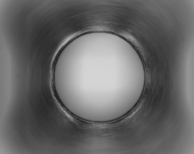 X0000088391286200705220753