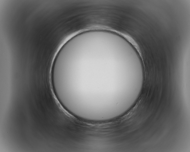 X0000088391287200705220753