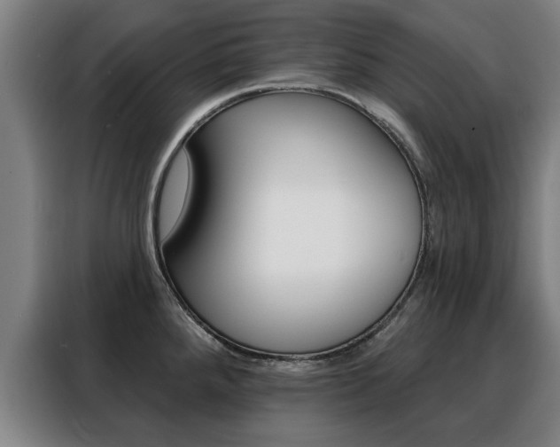 X0000088391288200705220753