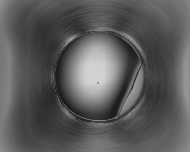 X0000088391289200705220753