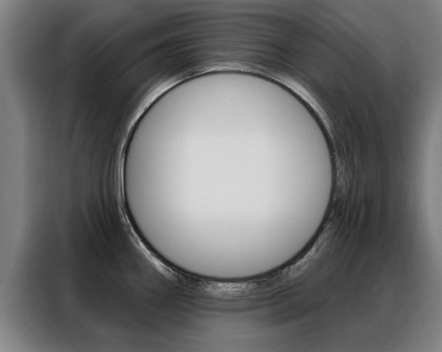 X0000088391290200705220753