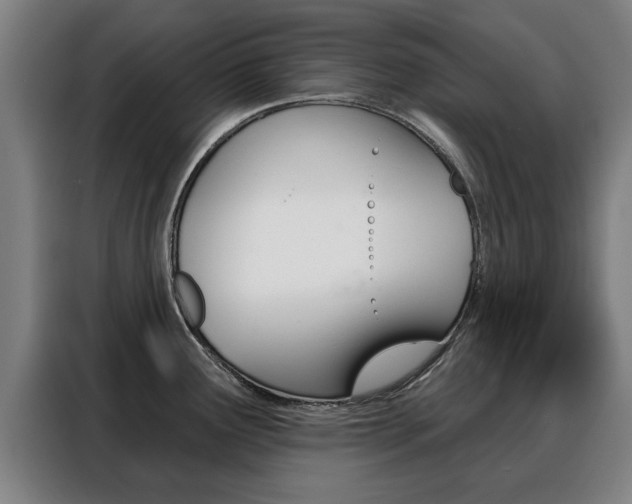 X0000088391291200705220753