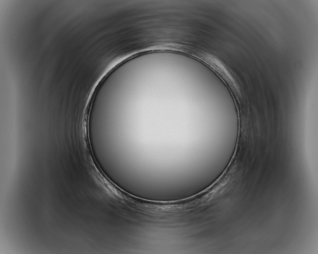 X0000088391292200705220753