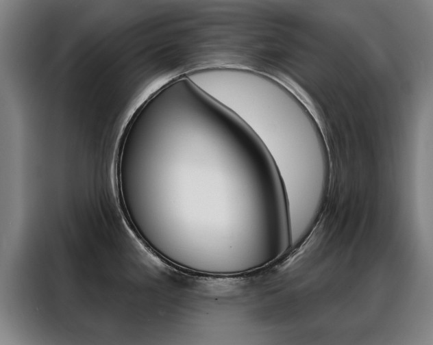 X0000088391293200705220753