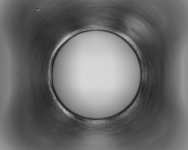 X0000088391294200705220753