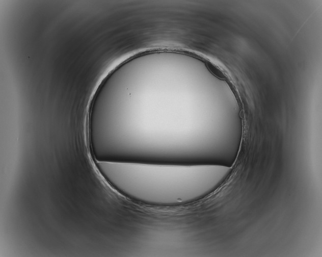 X0000088391295200705220753