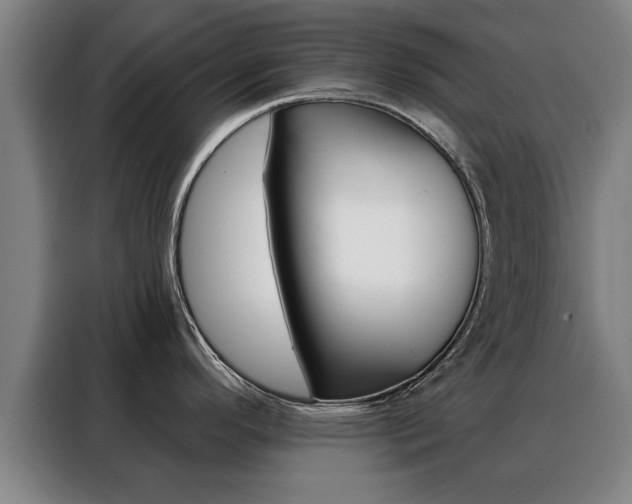 X0000088391296200705220753