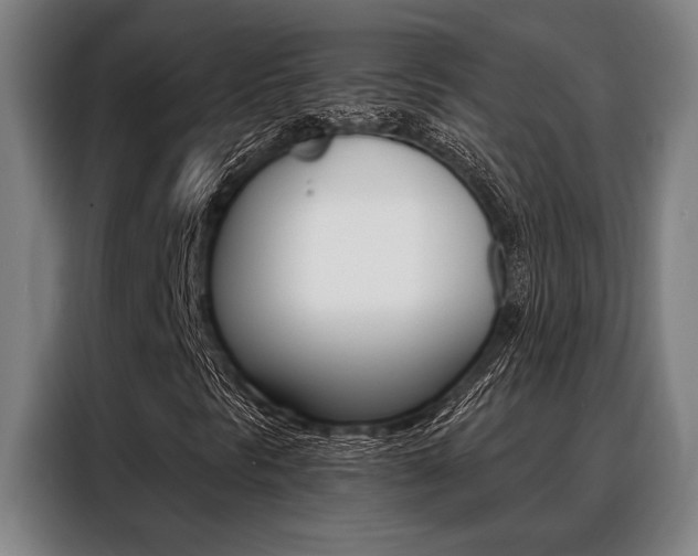 X0000088391297200705220753