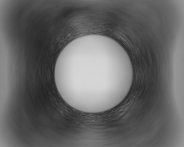 X0000088391298200705220753