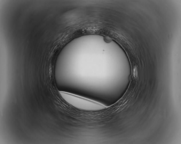 X0000088391299200705220753
