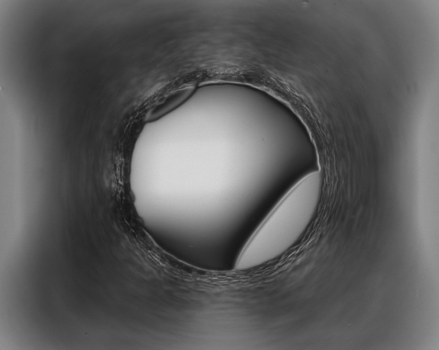 X0000088391301200705220753