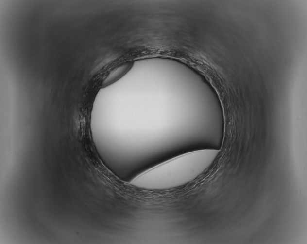 X0000088391302200705220753