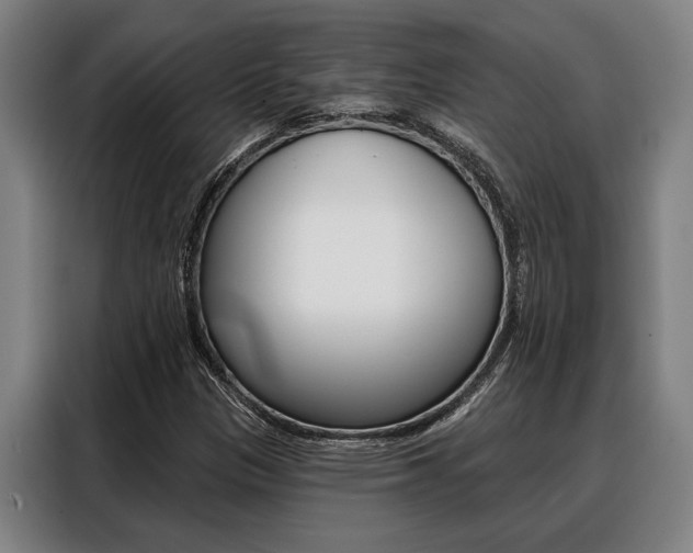 X0000088391305200705220753