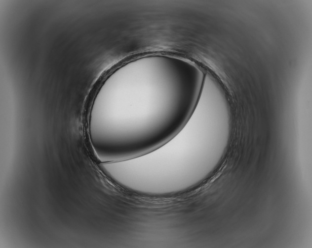 X0000088391308200705220753