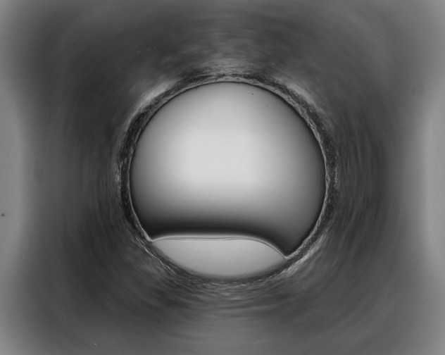 X0000088391309200705220753