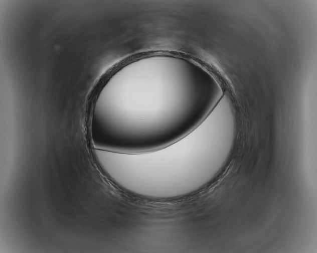 X0000088391312200705220753