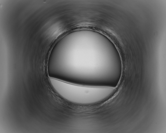 X0000088391313200705220753