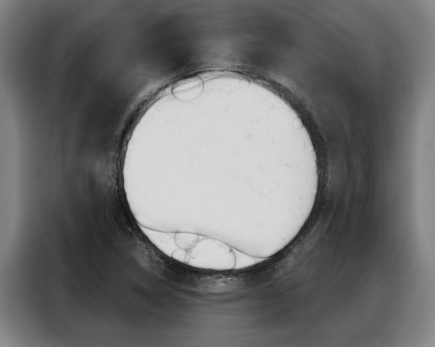 X0000088391314200705220753