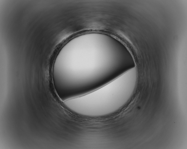 X0000088391315200705220753