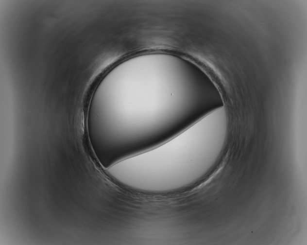 X0000088391317200705220753
