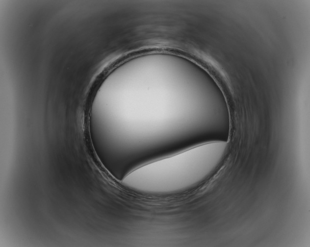 X0000088391318200705220753