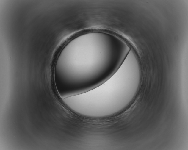 X0000088391319200705220753
