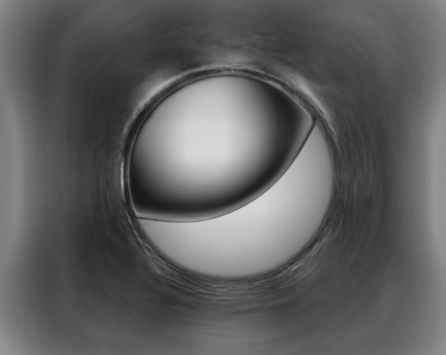 X0000088391320200705220753