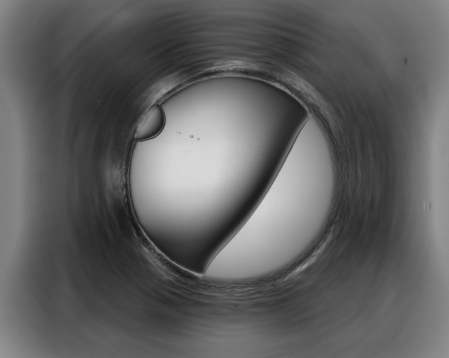 X0000088391321200705220753