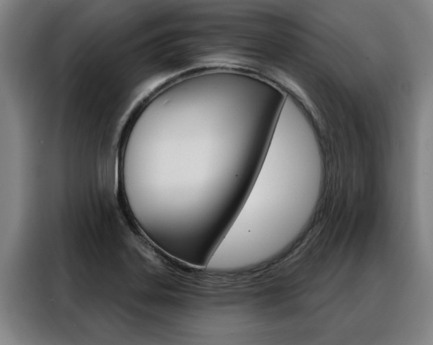 X0000088391323200705220753