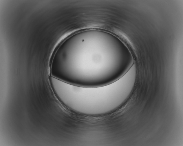 X0000088391324200705220753