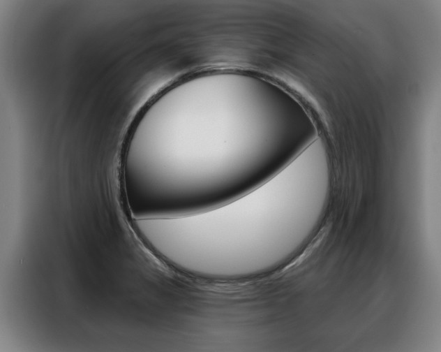 X0000088391325200705220753