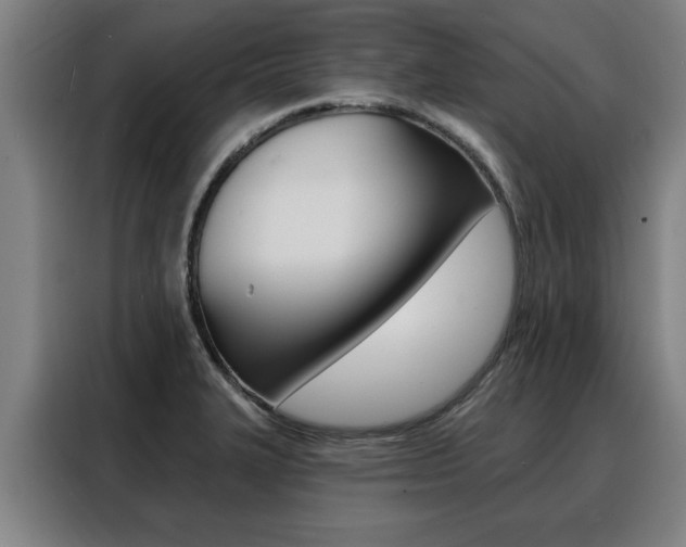 X0000088391327200705220753