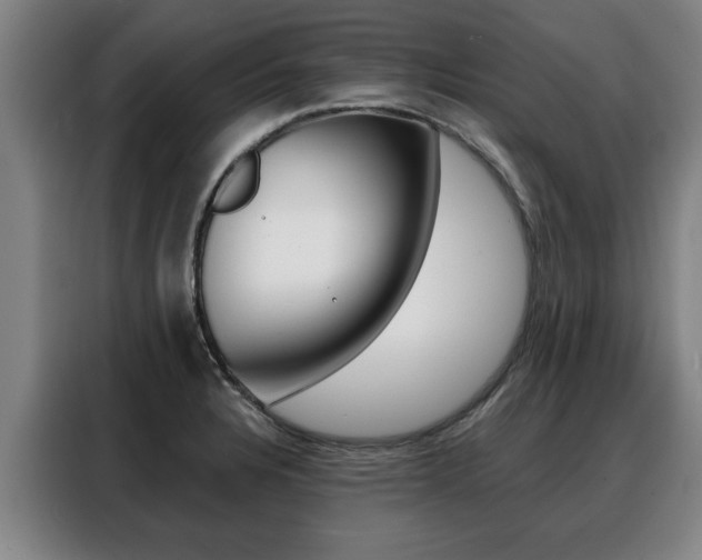 X0000088391328200705220753