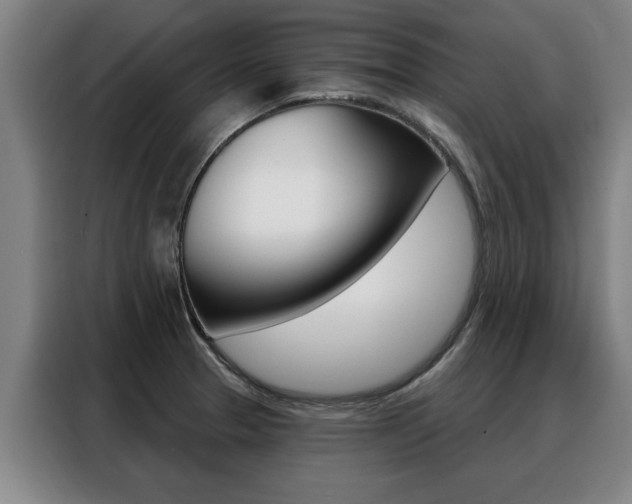 X0000088391329200705220753