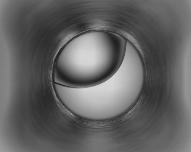 X0000088391330200705220753