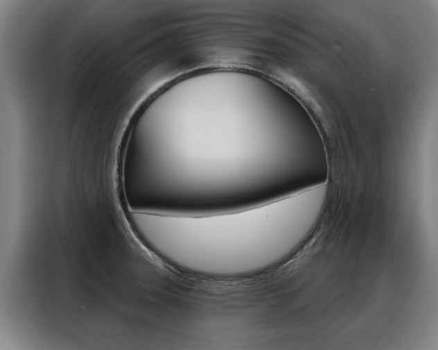 X0000088391331200705220753