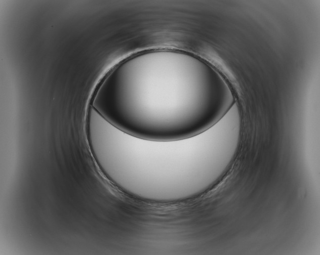X0000088391332200705220753