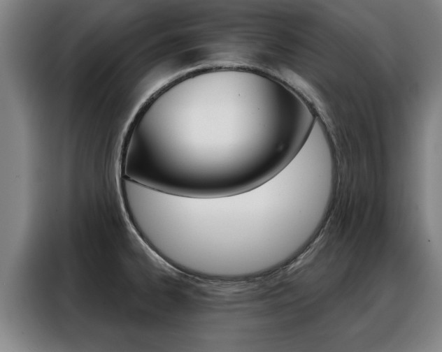 X0000088391334200705220753