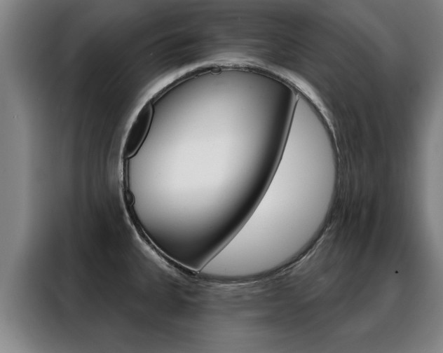 X0000088391335200705220753