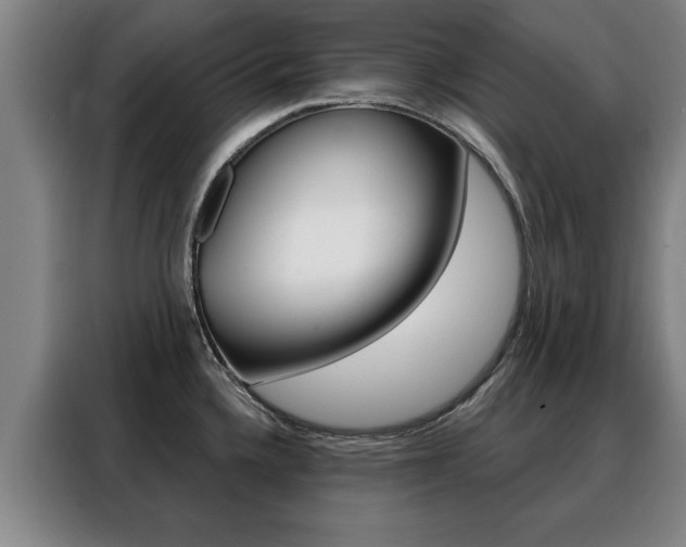 X0000088391336200705220753